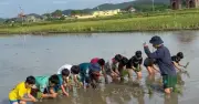 Lớp học cấy lúa, bắt ốc cho trẻ nghỉ hè gây sốt mạng xã hội