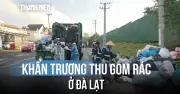 Đà Lạt xử lý rác tồn đọng xuyên đêm sau sự cố nhà máy