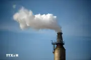 Mỹ-EU đối mặt bất đồng mới liên quan quy định phát thải methane