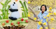 Mẹ Hà Nội biến đĩa cơm thành tranh, dân mạng khen 'không nỡ ăn'