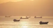 Mỹ hướng dẫn tàu thương mại qua eo biển Hormuz tránh nguy cơ Iran