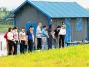 Mô hình 'cánh đồng xanh 3 không' tại Hải Phòng: Hướng đến nông nghiệp bền vững