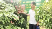 Mô hình VietGAP giúp nông dân Hưng Yên, Ninh Bình nâng cao thu nhập