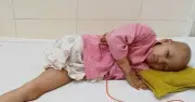 Mẹ ơi, chân con bị cắt rời có mọc lại được không?