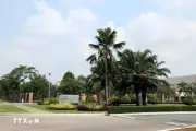 Mở rộng Khu Công nghệ cao TP.HCM: Động lực tăng trưởng mới