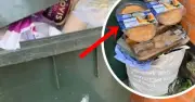 Mở tủ lạnh nhà chị dâu, tôi mới hiểu vì sao lương cao mà đồ nội thất cũ kỹ