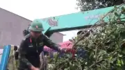 Mưa dông lốc chiều 20/6 tại Đồng Tháp gây thiệt hại hơn 700 triệu đồng