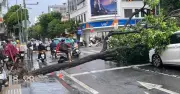 Mưa dông quật ngã cây xanh đè 2 ô tô, phố Tây Bùi Viện ngập sâu ở TPHCM