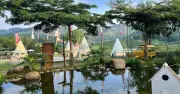 Mùa hè rực rỡ tại Mongo Land Đà Lạt - Thiên đường trải nghiệm