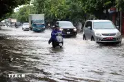 Mưa lớn gây ngập úng và thiệt hại tại Hải Phòng và Tuyên Quang