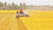 Mục tiêu tăng trưởng nông nghiệp 4-5%: Thách thức và giải pháp đột phá