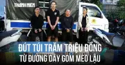 Mỗi ngày gom 50 kg mèo lạu, đút túi hàng trăm triệu đồng chỉ sau vài tháng