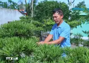 Minh chứng sinh động cho phẩm chất cao đẹp của Bộ đội Cụ Hồ trong thời bình