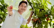 Minh Luân biến mảnh đất cằn cỗi 3.000m2 thành vườn cây trĩu quả