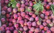 Món đăng chính vụ giá siêu rẻ: nấu canh hay om thịt vịt vừa lạ miệng vừa giải nhiệt ngày hè
