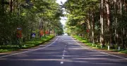 Măng Đen sắp có khu đô thị 6.700 tỷ của Sun Group, tỉnh Quảng Ngãi chỉ đạo đẩy nhanh tiến độ