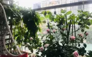 Mẹo chống nắng ban công biến lô bất quy tắc thành góc thư giãn mát rượi