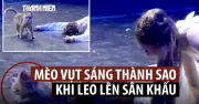 Mèo 'phá đám' màn kết bi thảm Romeo và Juliet ở Thổ Nhĩ Kỳ