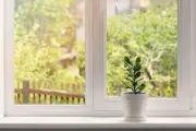 Mẹo vệ sinh rãnh cửa sổ cực nhàn chỉ với bàn chải cũ