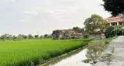Muốn mua đất ruộng xây nhà: Điều kiện bắt buộc phải biết