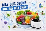Máy sục ozone: Không loại bỏ 99% vi khuẩn và thuốc trừ sâu như quảng cáo