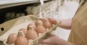 Ăn 4 quả trứng mỗi ngày suốt 5 tháng, chỉ số mỡ máu tăng vọt