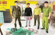 Đàn bồ nông chân xám quý hiếm trở lại Vườn quốc gia Tràm Chim sau 6 năm