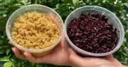 Ăn cơm rượu nếp có thể bị phạt nồng độ cồn khi lái xe?