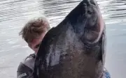 Ngư dân 18 tuổi câu được cá tambacu khổng lồ nặng hơn 40kg tại Brazil