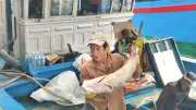 Ngư dân Quảng Ngãi thay đổi cách đánh bắt để thích ứng với biến động