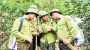 Ứng dụng công nghệ trong quản lý và bảo vệ rừng tại Nghệ An