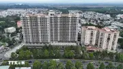 Đồng Nai bãi bỏ dự án khu dân cư Bình Đa do không đấu giá đất