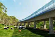 Đồng Nai khởi công 3 dự án kết nối sân bay Long Thành gần 40.000 tỷ đồng
