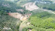 Đồng Nai làm rõ vụ đập đập lấn chiếm lòng hồ, san gạt đất tại Phú Riềng