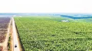 Đồng Nai: Nông nghiệp công nghệ cao đạt giá trị 39.000 tỷ đồng