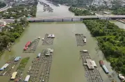 Đồng Nai quyết giải tỏa làng bè cá gây ô nhiễm giữa trung tâm đô thị