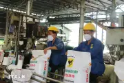 Ứng phó nguy cơ gián đoạn chuỗi cung ứng phân bón
