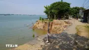 Ứng phó sạt lở: Đồng Tháp triển khai giải pháp mềm thân thiện
