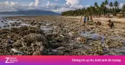 Động đất 7,8 độ ở Philippines nâng đáy biển lên 2 m, lộ rạn san hô