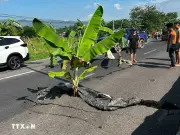 Động đất 7,8 tại Philippines: 12 người chết, hơn 200 người bị thương