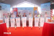 Đồng Thọ dự án nhà máy điện gió Nhật Bản Bạc Liêu trị giá gần 2.500 tỷ đồng