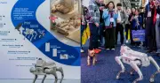 Động thái kỳ lạ của công ty Mỹ muốn đưa Việt Nam thành cứ điểm sản xuất chó robot
