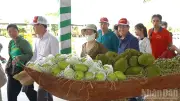 Đồng Tháp khắc phục sự cố trái cây bị lấy tại lễ hội, tăng cường bảo vệ