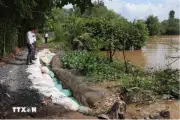 Đồng Tháp khẩn cấp ứng phó nguy cơ sạt lở bờ sông Tiền