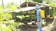Đồng Tháp phát hiện ổ dịch cúm A/H5N1 trên đàn vịt, tiêu hủy toàn bộ gia cầm