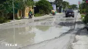 Đồng Tháp: Quốc lộ 30 xuống cấp nghiêm trọng, ảnh hưởng giao thương vùng biên