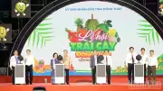 Đồng Tháp sẵn sàng cho lễ hội trái cây quy mô lớn năm 2026