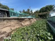 Đồng Tháp: Sạt lở bờ sông Lai Vung làm 1 căn nhà đổ sập