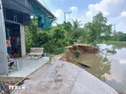 Đồng Tháp: Sạt lở hơn 20m đường ven sông Trà Lọt, giao thông bị chia cắt