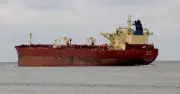 Nga và Cuba thúc đẩy hợp tác nhiều lĩnh vực tại Diễn đàn St. Petersburg